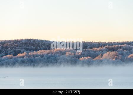 Nebel, Sonnenaufgang, tanzende Feen schaffen eine verträumte Szene. Schöner Morgen im Morgengrauen Stockfoto