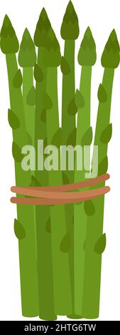 Grüner Spargel. Gebunden in Trauben reifen Spargel, Vektor-Illustration Stock Vektor