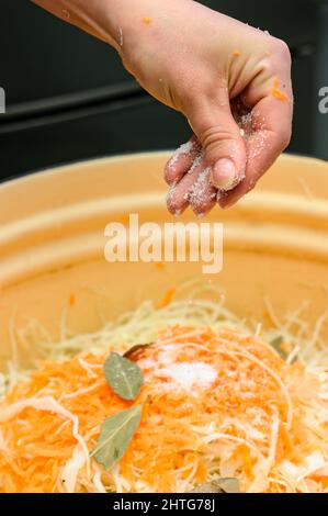 Eingelegter Kohl aus der Nähe, Frau salzt Kohl für Sauerteig, Kochen Sauerkraut, gesunde und leckere Speisen. Stockfoto