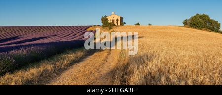 Provence im Sommer mit Lavendel und Weizenfeldern. Entrevennes Kapelle in der Alpes-de-Haute-Provence, Frankreich Stockfoto