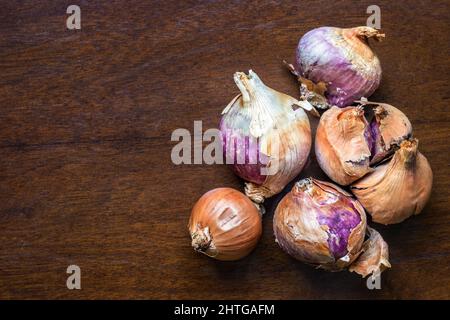 Braune und violette Schalotten, Allium Cepa Zwiebeln, auf rustikalem Tisch Stockfoto