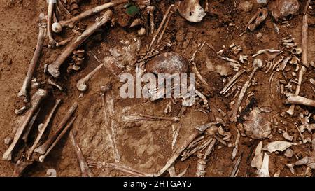 Archäologische Ausgrabungen am Tatort, menschliche Überreste im Boden. Kriegsverbrecherszene. Der Ort der Massenerschießung der Menschen. Menschliche Überreste - Knochen Stockfoto