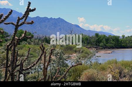 Der Rio Grande, was auf Spanisch Big River bedeutet. Auch bekannt als Rio Bravo südlich der Grenze in Mexiko und als wilder und malerischer Fluss bezeichnet. Stockfoto