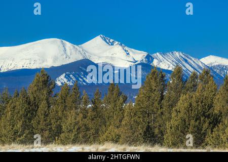 ostziegengipfel (links) und Westziegengipfel (rechts) im anaconda-Gebirge im Winter in der Nähe von anaconda, montana Stockfoto