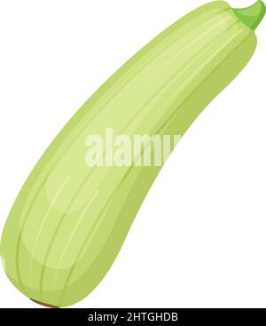 Zucchini. Mark Gemüse, Vektor-Illustration Stock Vektor