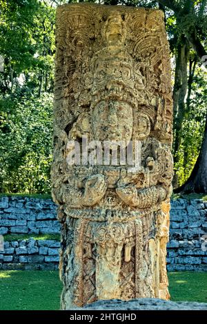 Stela freistehende Skulptur in den Copan Mayan Ruinen, Copan Ruinas, Honduras Stockfoto