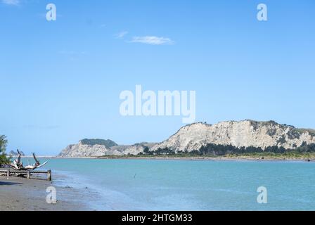 Driftwood-Baumstamm und Steg am schlammigen Rand des Uawa River, der durch die Gemeinde Tolaga Bay verläuft. Stockfoto