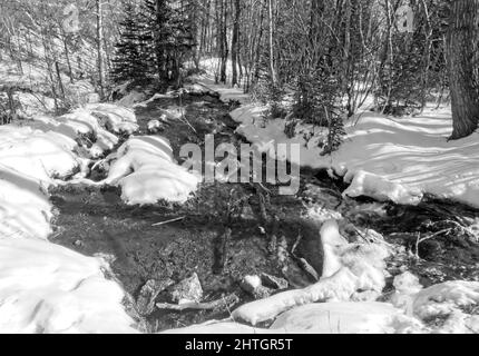 Schwarz-weiß Big Hill Springs Provincial Park Alberta Stockfoto