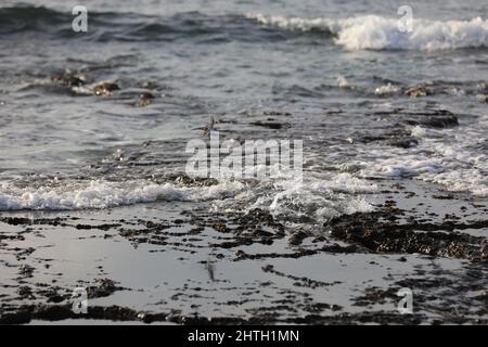 Verschwommener abstrakter natürlicher Hintergrund des Meerwassers mit Wellen und Schaum. Bewegungsunschärfe. Natur. Stockfoto