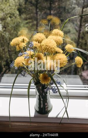 Bouquet von gelben Delelons in einer Tonvase, die auf dem Fensterbrett beim offenen Fenster auf dem Land steht Stockfoto