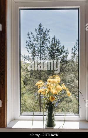 Bouquet von gelben Delelons in einer Tonvase, die auf dem Fensterbrett beim offenen Fenster auf dem Land steht Stockfoto