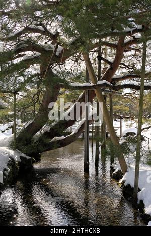 Ishikawa, Japan - 25. Februar 2022: Steinlaterne entlang des gefrorenen Kasumigaike-Teiches in Kenrokuen, einem der schönsten Gärten Japans, im Winter Mo Stockfoto