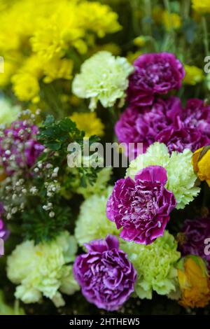 Ein Blumenstrauß im Innenbereich. Stockfoto