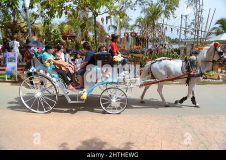 Besucher reiten mit einer Pferdekutsche auf dem FLORIA Festival in Putrajaya, Malaysia. Stockfoto