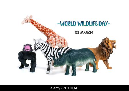 Nashörner, Giraffen, Löwe, Zebra, Elefant isoliert auf weißem Hintergrund Text Weltwildtag 3. märz Feiern Sie viele schöne und abwechslungsreiche Formen von w Stockfoto