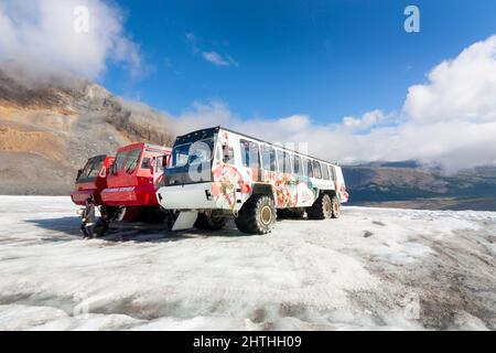 Schneebusse auf dem ATHAB.S. Glacier in Columbia Eisfelder auf dem Icefileds parkway in den kanadischen rockies Kanada Stockfoto