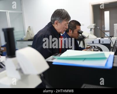 (220301) -- DUNHUANG, 1. März 2022 (Xinhua) -- Su Bomin (L) arbeitet in einem Forschungslabor der Dunhuang Akademie in Dunhuang, nordwestlich der Provinz Gansu, 23. Februar 2022. Su Bomin, Abgeordneter des Nationalen Volkskongresses (NPC), ebenfalls Dekan der Dunhuang Academy, arbeitet seit drei Jahrzehnten in den Mogao-Grotten, einem UNESCO-Weltkulturerbe in Dunhuang, nordwestlich der chinesischen Provinz Gansu. Su hat seit Beginn seines Dienstes als NPC-Stellvertreter eine Reihe von Vorschlägen zum Schutz kultureller Reliquien unterbreitet. Während der diesjährigen "zwei Sitzungen", den jährlichen Sitzungen des National Stockfoto