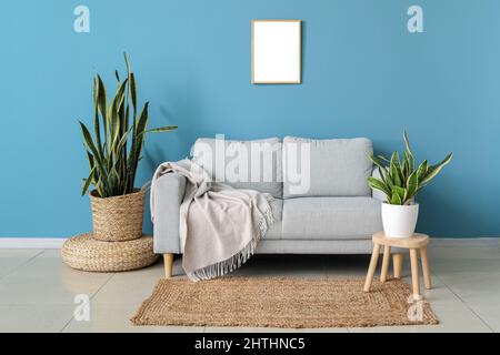 Stilvolles Sofa und Zimmerpflanzen in der Nähe der blauen Wand Stockfoto