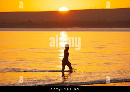 Portobello, Edinburgh, Schottland, Großbritannien. 1.. März 2022. Meteorologischer Sonnenaufgang im Frühling. Im Bild: Sasha begrüßt die Sonne, die über den Horizont bei einem ihrer regelmäßigen Tauchungen im Firth of Forth spässt. Temperatur 3 Grad Celsius. Kredit: Archwhite/alamy Live Nachrichten. Stockfoto