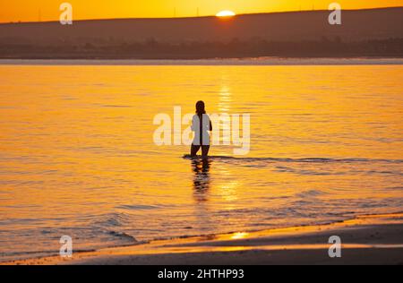Portobello, Edinburgh, Schottland, Großbritannien. 1.. März 2022. Meteorologischer Sonnenaufgang im Frühling. Im Bild: Sasha begrüßt die Sonne, die über den Horizont bei einem ihrer regelmäßigen Tauchungen im Firth of Forth spässt. Temperatur 3 Grad Celsius. Kredit: Archwhite/alamy Live Nachrichten. Stockfoto