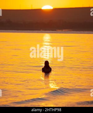 Portobello, Edinburgh, Schottland, Großbritannien. 1.. März 2022. Meteorologischer Sonnenaufgang im Frühling. Im Bild: Sasha begrüßt die Sonne, die über den Horizont bei einem ihrer regelmäßigen Tauchungen im Firth of Forth spässt. Temperatur 3 Grad Celsius. Kredit: Archwhite/alamy Live Nachrichten. Stockfoto