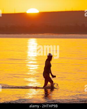 Portobello, Edinburgh, Schottland, Großbritannien. 1.. März 2022. Meteorologischer Sonnenaufgang im Frühling. Im Bild: Sasha begrüßt die Sonne, die über den Horizont bei einem ihrer regelmäßigen Tauchungen im Firth of Forth spässt. Temperatur 3 Grad Celsius. Kredit: Archwhite/alamy Live Nachrichten. Stockfoto