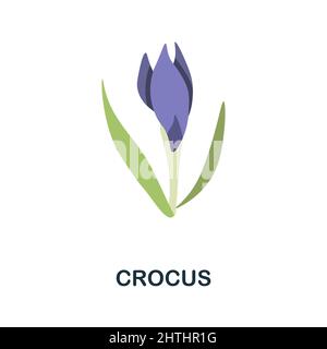 Flaches Crocus-Symbol. Farbiger Elementschild aus der Blumensammlung. Flaches Crocus-Icon-Zeichen für Webdesign, Infografiken und mehr. Stock Vektor