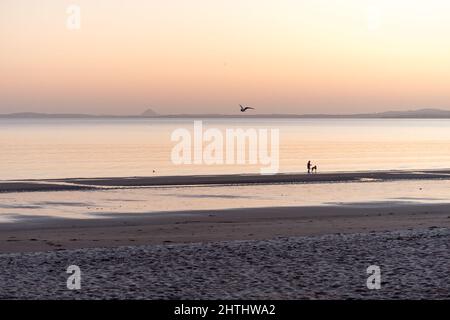 Edinburgh, Schottland, Großbritannien, 1.. März 2022. UK Wetter: Edinburgh wacht zu einem sonnigen Morgen auf. Eine Person, die mit einem Hund am Strand entlang in Portobello läuft. Kredit: Lorenzo Dalberto/Alamy Live Nachrichten Stockfoto