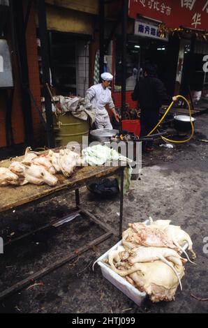 china hong kong guandxou quipin Markt Hunde Kopf Stockfoto