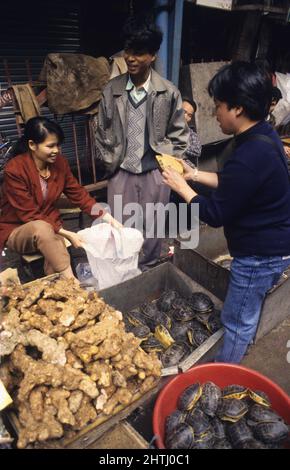 china hong kong Guandxou Chinping Markt trockene Tiere Stockfoto