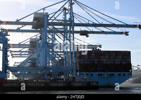 Rotterdam, Niederlande. 23rd. Februar 2022. Das Containerschiff Maleby Maersk liegt am Pier im Hafen von Rotterdam.Quelle: Federico Gambarini/dpa/Alamy Live News Stockfoto