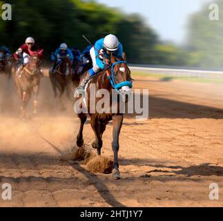 Galoppierende Rennpferde im Rennsport. Jockey auf Rennpferd. Sport. Champion. Hippodrome. Reiten. Derby. Geschwindigkeit Stockfoto