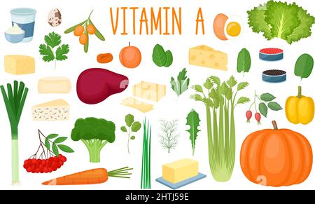 Set von Vitamin-A-Quellen. Gesunde Ernährung. Sammlung von Gemüse, Gemüse, Milchprodukte und Eier angereichert Vitamin C. Vektor-Illustration Stock Vektor