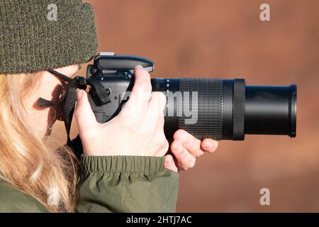 Eine Frau macht an einem kalten Wintertag ein Wildtierfoto. Sie trägt warme Kleidung und hält eine DSLR-Kamera mit langem Objektiv auf Augenhöhe. Drückt den Auslöser Stockfoto