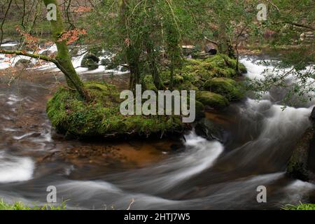 Ein Bild mit langsamer Verschlusszeit eines wirbelnden Flusses, der an der Fingle Bridge durch den Dartmoor-Nationalpark schneidet. Der Fluss schlängelt sich um eine kleine Insel Stockfoto