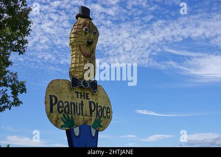Der große Erdnuss, in der Nähe von Tolga auf den Atherton Tablelands Stockfoto