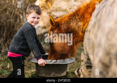 Seitenansicht des niedlichen Jungen in Gummistiefeln, der braunes Pferd aus dem Eimer füttert, der in der Nähe des Zauns im Gehege steht Stockfoto