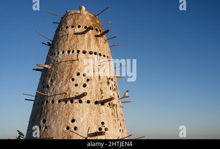 Hoher kegelförmiger ägyptischer Vogelnistturm mit Löchern und Holzstäben gegen den wolkenlosen blauen Himmel in Ägypten Stockfoto