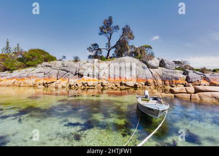 Die orangefarbene Kruste des Flechten-Jachthafens von Caloplaca auf Felsen entlang der Küste der Binalong Bay, Tasmanien, Australien. Boot in der Bucht vertäut. Stockfoto