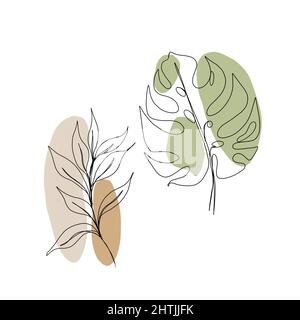 Set line Art tropisches Blatt und Zweig mit Blättern. Minimalistische Linienzeichnung. Blatt-Linienkunst. Botanische Zeichnung Illustration von Hand. Stockfoto