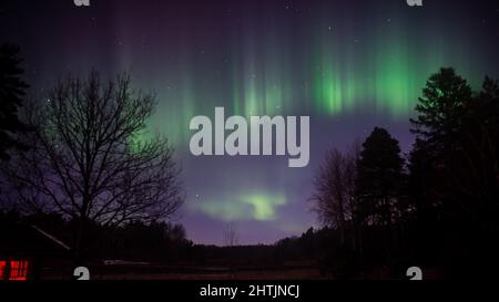 Die Northern Lights Aurora Borealis Vorhänge leuchten grün und lila. Eine aurora ist eine natürliche Lichtdarstellung am Himmel, die überwiegend in der Hi zu sehen ist Stockfoto