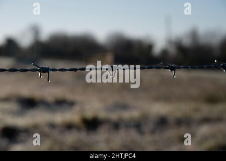 Stacheldraht in Nahaufnahme mit Wassertropfen Stockfoto