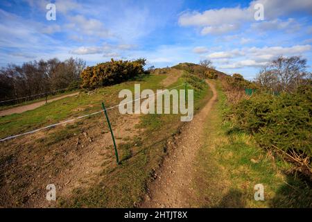 Blick auf den Kamm der Malvern Hills in Worcestershire und Hereford mit sonnigem Himmel und klaren Wanderwegen. Stockfoto