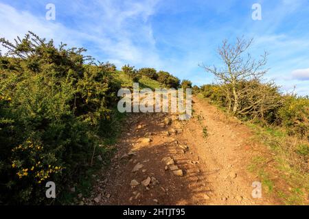 Blick auf den Kamm der Malvern Hills in Worcestershire und Hereford mit sonnigem Himmel und klaren Wanderwegen. Stockfoto