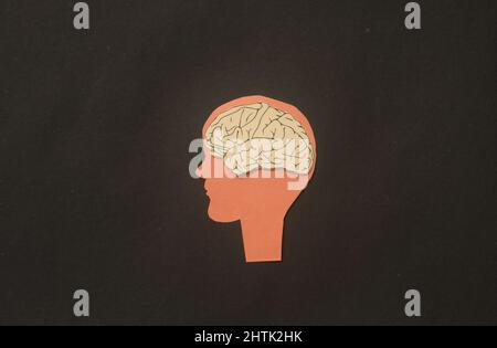 Papier menschliches Gehirn in einer Silhouette Kopf Illustration. Denkidee und kreativer Geist. Stockfoto