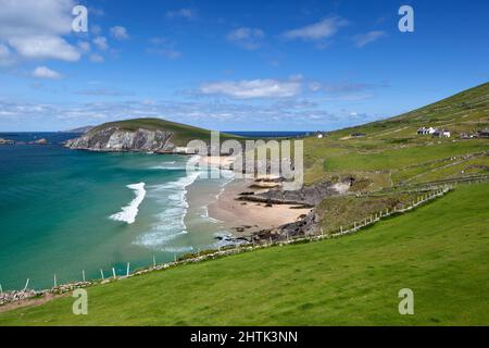 Blick über Slea Head zum Blasket Sound, Dingle Peninsula, County Kerry, Irland Stockfoto