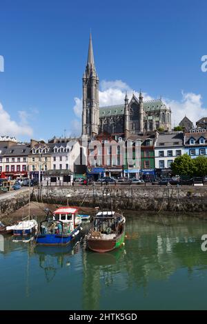 Blick über den Fischerhafen zur St Colman's Cathedral, Cobh, County Cork, Irland Stockfoto