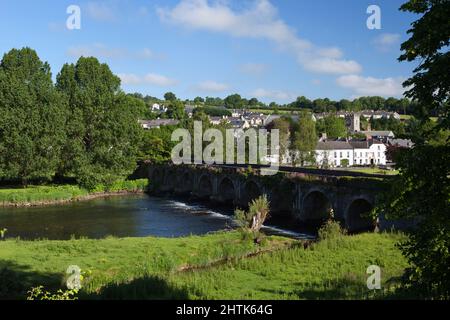 Blick über den Fluss Nore zum malerischen Dorf, Inistioge, County Kilkenny, Irland Stockfoto