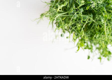 Pflanzenerbsensprossen, Microgreens auf weißem Hintergrund, veganes Gesundheit Superfood. Draufsicht, Nahaufnahme, Platz für eine Inschrift Stockfoto