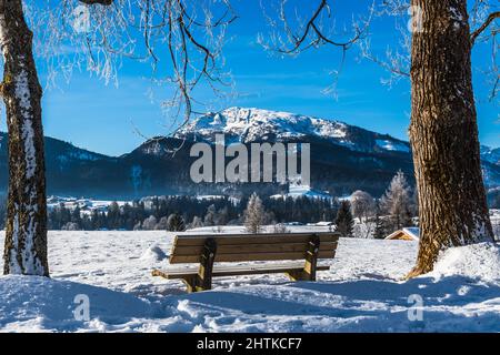 Bank in einer verschneiten Landschaft an einem sonnigen Wintermorgen Stockfoto
